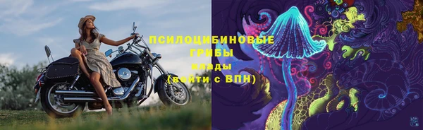 ГАЛЛЮЦИНОГЕННЫЕ ГРИБЫ Балахна