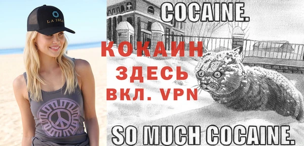 мяу мяу мука Армянск