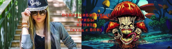 кокс Баксан