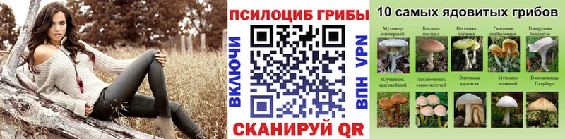 Псилоцибиновые грибы мухоморы даркнет сайт Орлов
